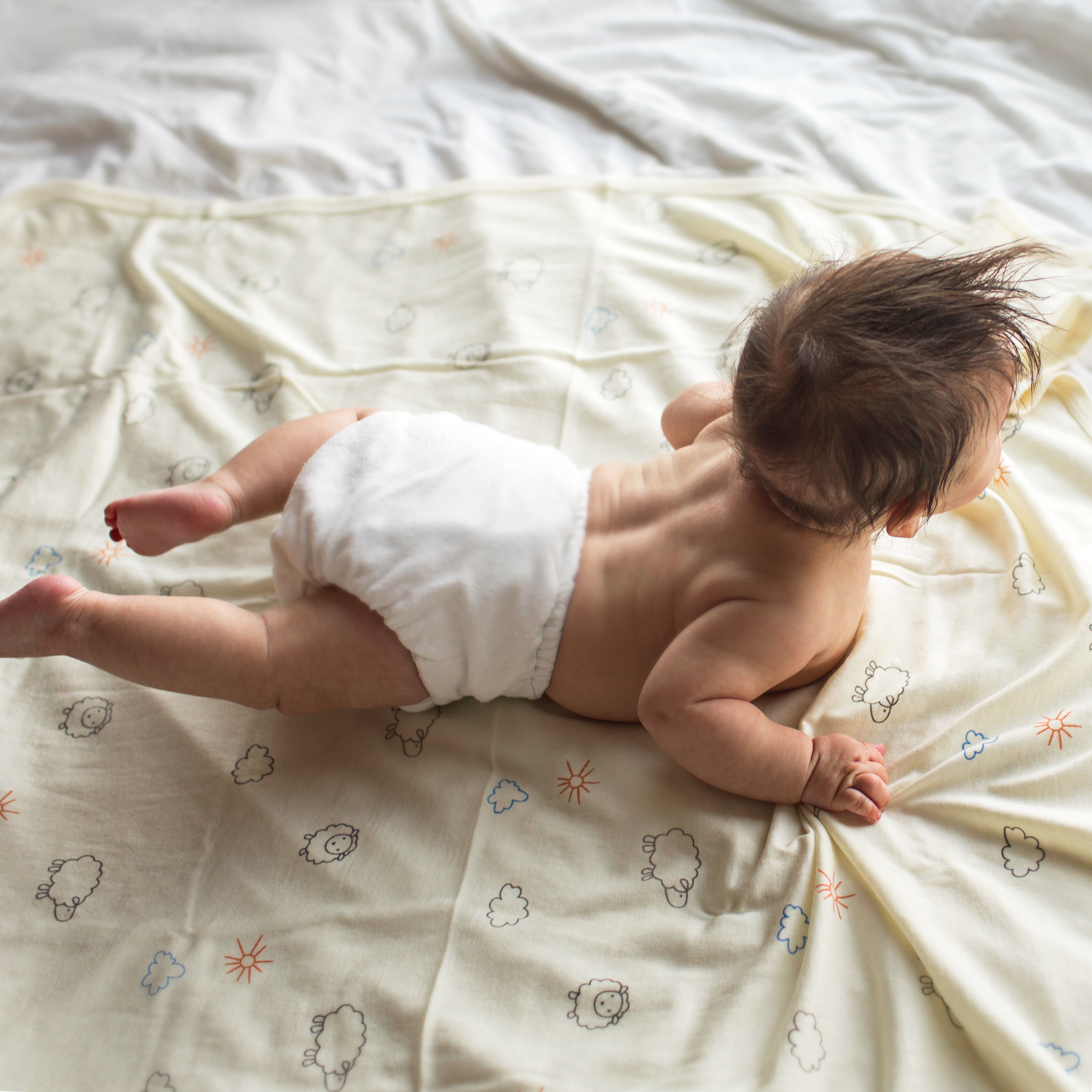 Alternative view of Swaddle Blanket, Merino Wool, Newborn to 3 Months, Sheep